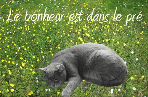 Le bonheur est dans le pré