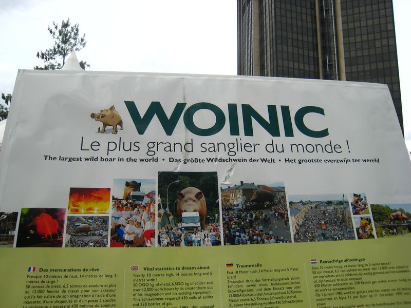 Woinic