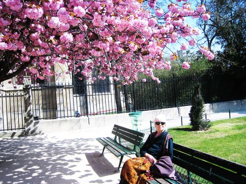 Dans le jardin de l'Archevêché