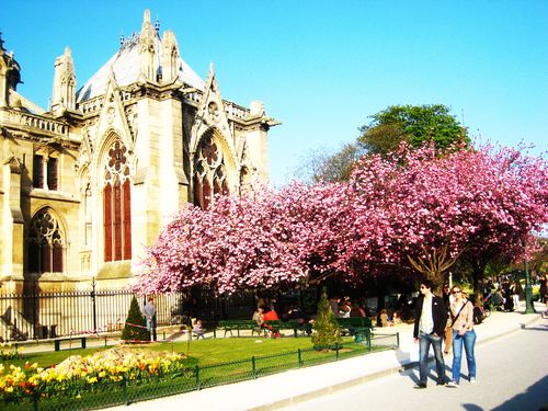 Jardin de l'archevêché 10 