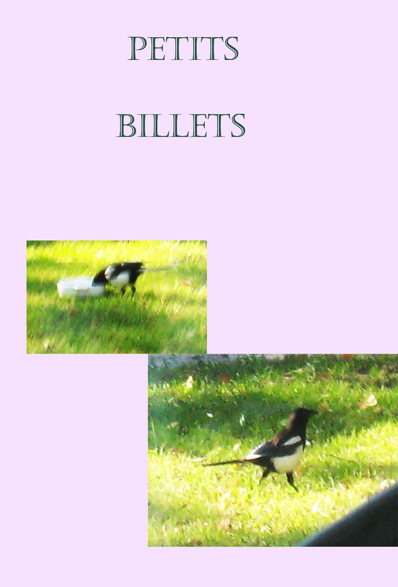 Petits billets 5