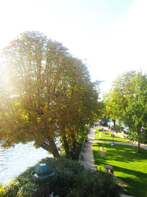 Pointe de l'île  de la Cité