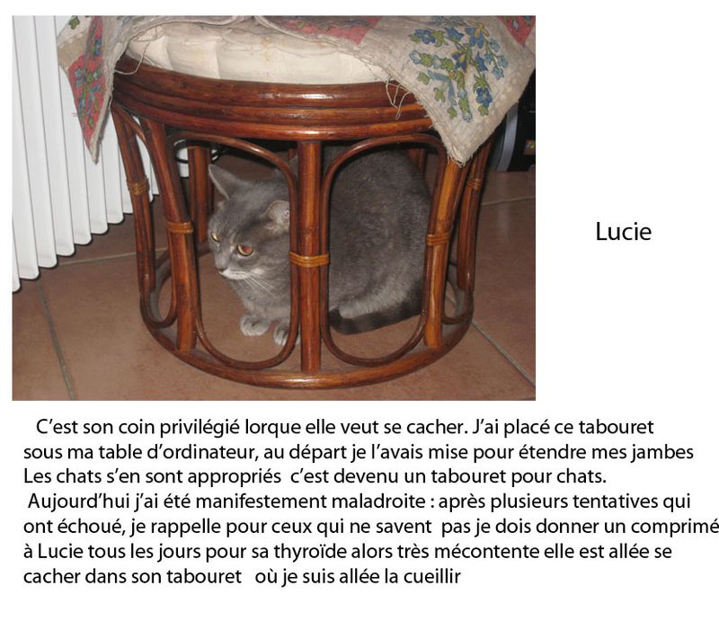 Lucie et son tabouret