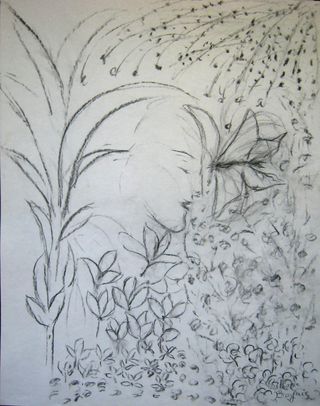Le papillon_ Le papillon_