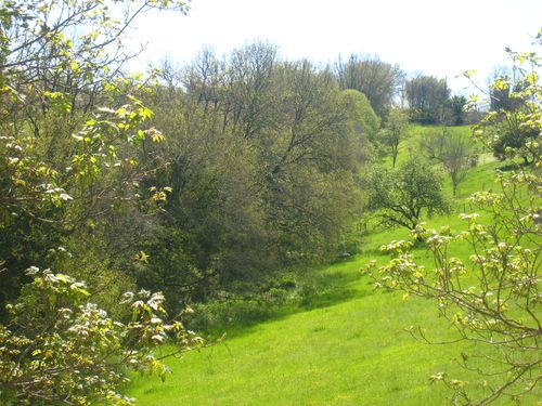 Vue de Ribérac 2 - Copie