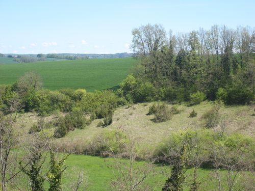 Vue de Ribérac3