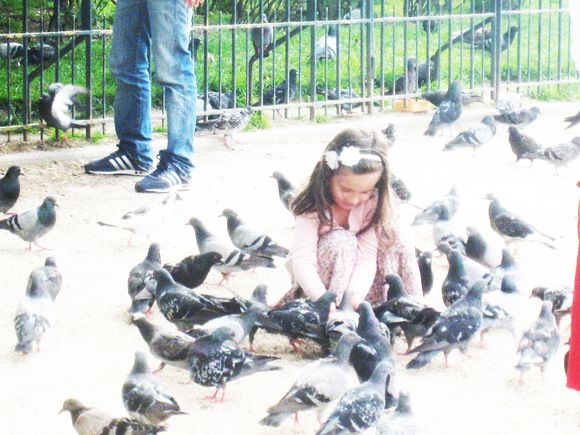 Petite fille aux pigeons