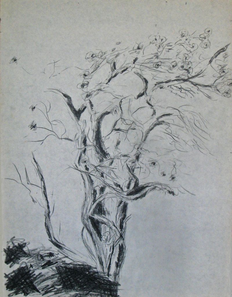 L'arbre