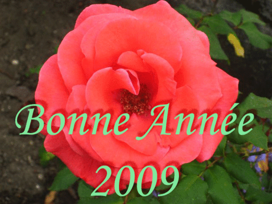 Bonne_anne_3